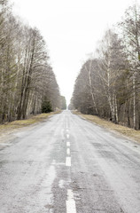 Old asphalt road. Asphalt road and spring forest