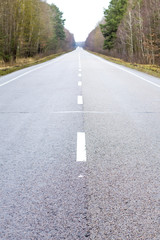 Old asphalt road. Asphalt road and spring forest