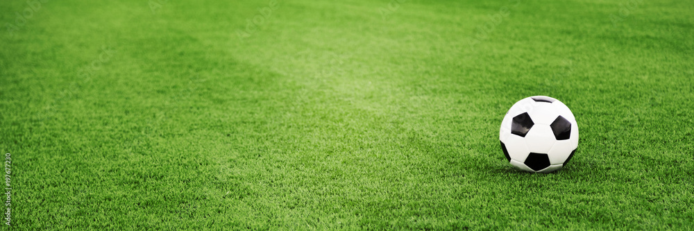 Wall mural traditional soccer ball on grass field