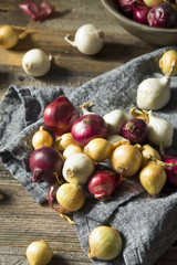 Raw Organic Assorted Pearl Onions