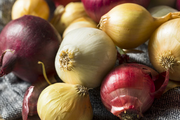 Raw Organic Assorted Pearl Onions