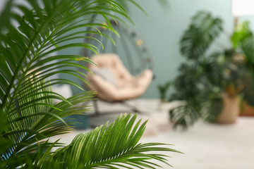Tropical leaves in stylish interior design