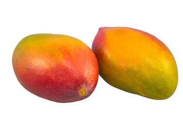 Two red-yellow mango isolated on a white background