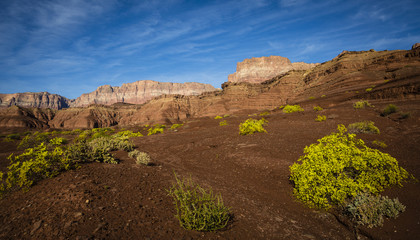 Vermilloion Cliffs National Monument