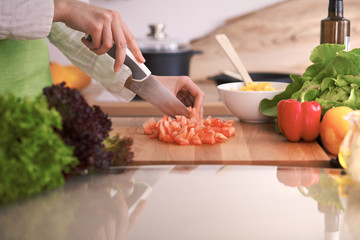 Close Up of human hands cooking vegetable salad in kitchen on the glass table with reflection. Healthy meal, and vegetarian food concept