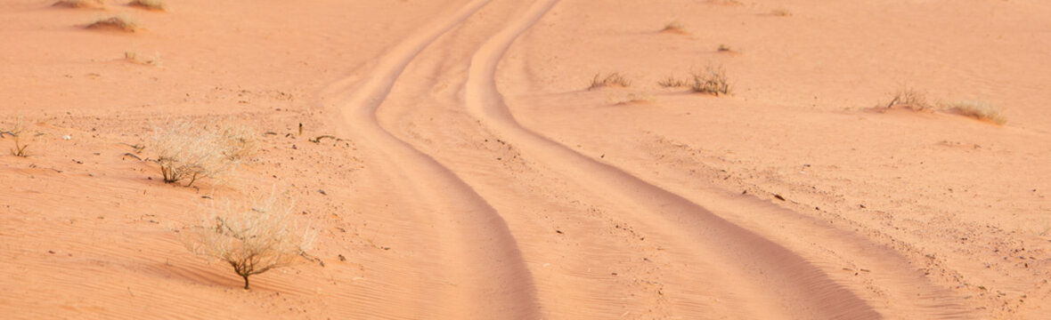car trails on the sand in desert in Jordan