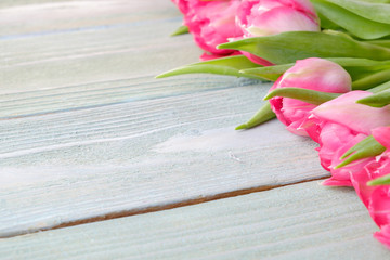 Pink fresh tulips on a wooden table, close-up