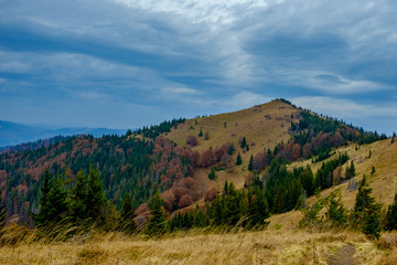 Autumn in the mountains