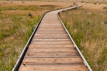 Boardwalk