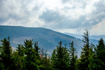 Autumn in the mountains