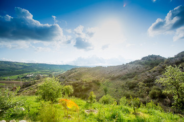Sunny spring day in Paphos