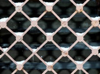 Fototapeta premium wire fence