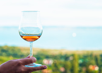 Glass of vine with lake Balaton in the background