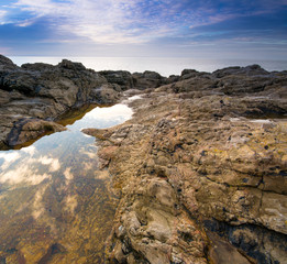 Fototapeta premium golden water 