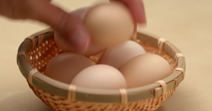 Pick one chicken egg from basket