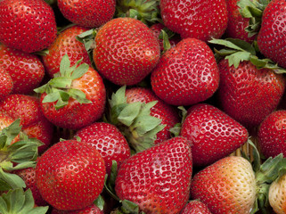 Group of Fresh Stawberries Background with Leaves
