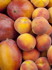 Fototapeta na wymiar Group of Fresh Peaches and Mangos Background Top Shot