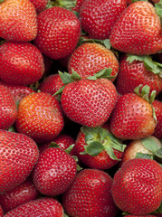 Group of Fresh Stawberries Background with Leaves