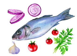 Watercolor illustration fresh fish and vegetables isolated on white