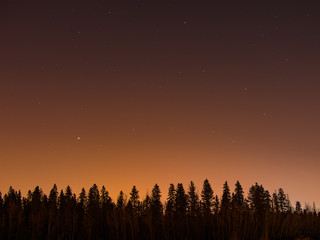 Beautiful sunrise light and stars over boreal forest