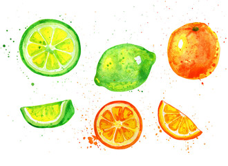 Tropical fruits lemon, orange watercolor illustration isolated on white. Hand drawn.