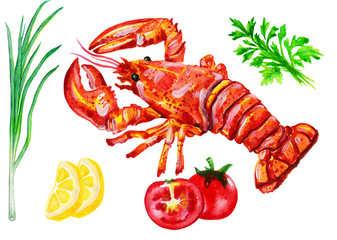 Watercolor illustration lobster and vegetables isolated on white.