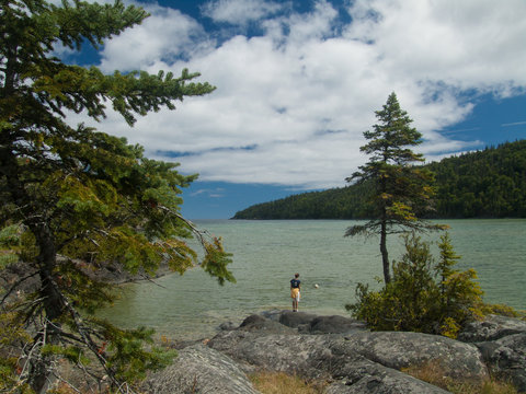 woman watching dog swimming in river