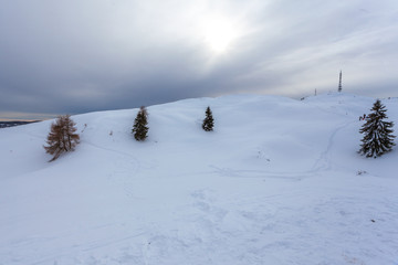 Snowy slope with footprints in a gray and cloudy day, Belluno, Veneto, Italy