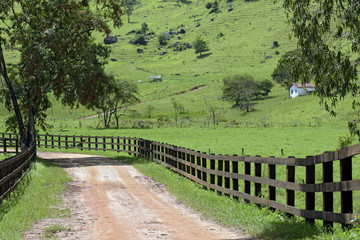 Rural landscape with fence and house