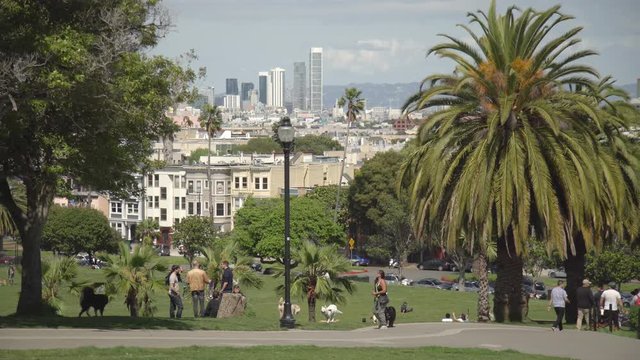 Dogs in the play area of Dolores Park