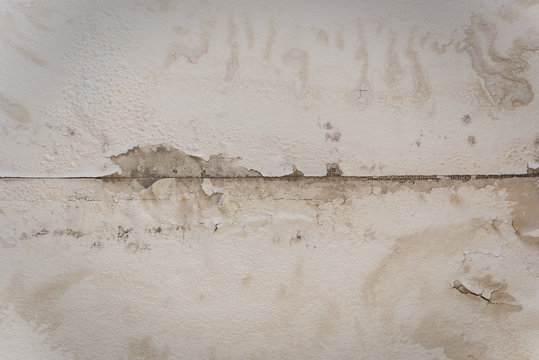 A Drywall Seam Is Exposed In This Water Damaged Wall And/or Ceiling Along With Bubbling And Mold.