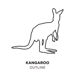 kangaroo outline on white background