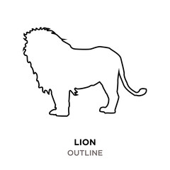 lion outline images on white background