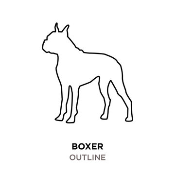 boxer outline on white background