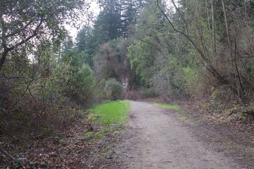 Riverfront Regional Park - Located along the Russian River, Riverfront Regional Park is just minutes from downtown Windsor and Healdsburg and surrounded by classic Wine Country scenery. Spring. 