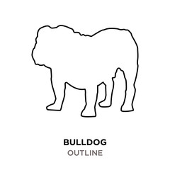 bulldog outline on white background