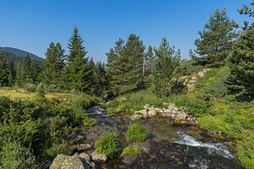 Fototapeta na wymiar Landscape of Begovitsa River Valley, Pirin Mountain, Bulgaria