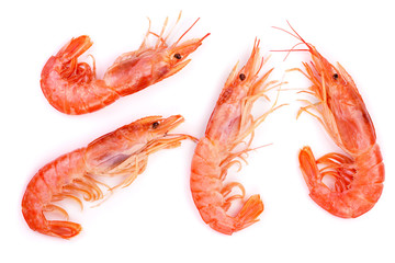 Red cooked prawn or shrimp isolated on white background. Top view