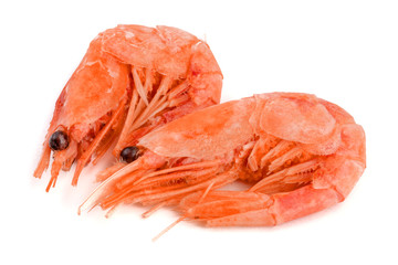 Red cooked prawn or shrimp isolated on white background