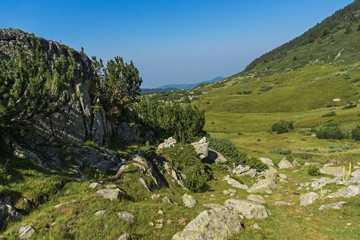 Obraz premium Landscape of Begovitsa River Valley, Pirin Mountain, Bulgaria