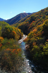秋の西沢渓谷