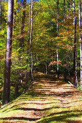 秋の西沢渓谷