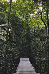 Obraz premium Bridge way