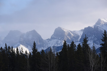 Fototapeta premium Snow Covered Mountains