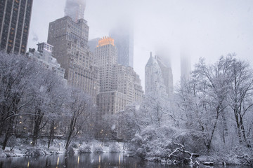Snowy view from Central Park