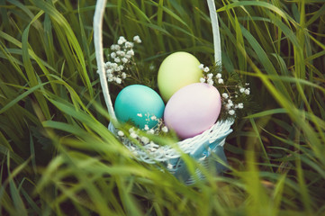 Easter eggs in a white basket on the background of green grass.