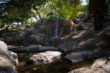 Naklejka na ściany i meble Waterfall, Botanical Garden