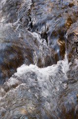 flow clear water in small brook.