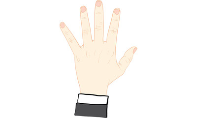 hand action vector, rich, ring finger
