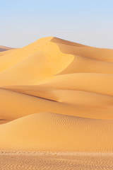 Fototapeta na wymiar Dune Landscape in the Empty Quarter